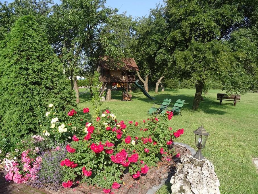 Skalny Apartamenty, Pokoje Ogrodzieniec Esterno foto
