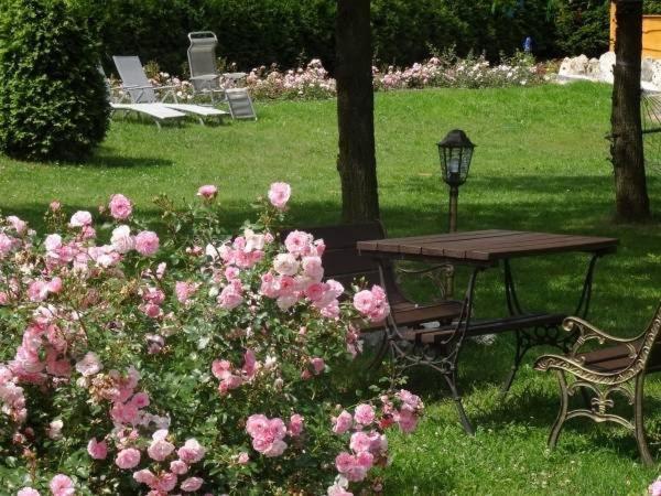 Skalny Apartamenty, Pokoje Ogrodzieniec Esterno foto