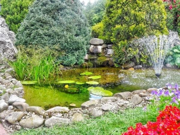 Skalny Apartamenty, Pokoje Ogrodzieniec Esterno foto