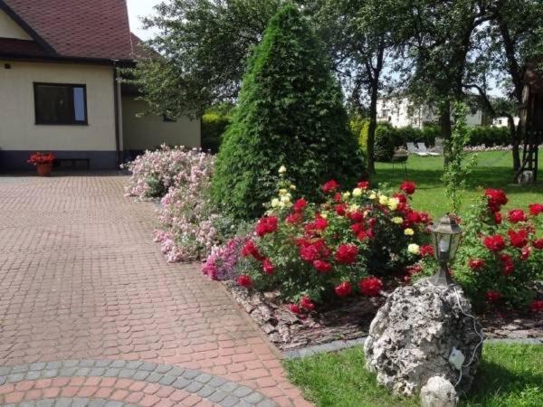 Skalny Apartamenty, Pokoje Ogrodzieniec Esterno foto
